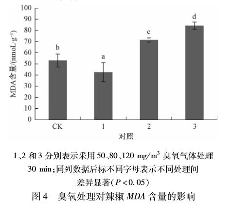 臭氧對辣椒種子萌發(fā)及生理指標(biāo)的影響